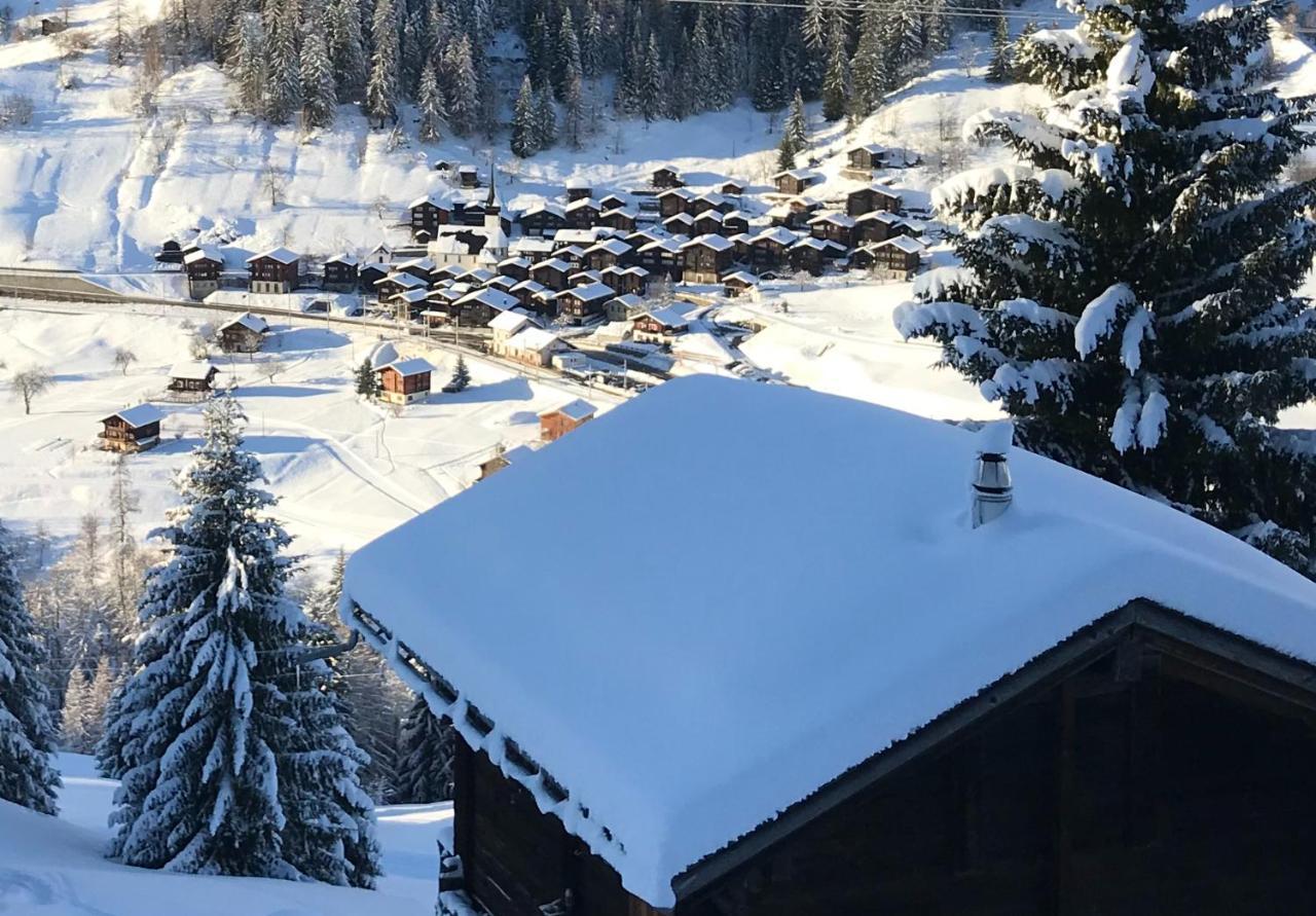 Haus Bortis Daire Goms Dış mekan fotoğraf