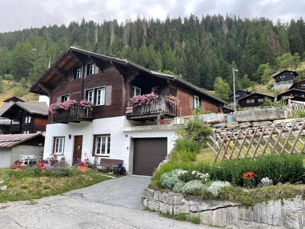 Haus Bortis Daire Goms Dış mekan fotoğraf