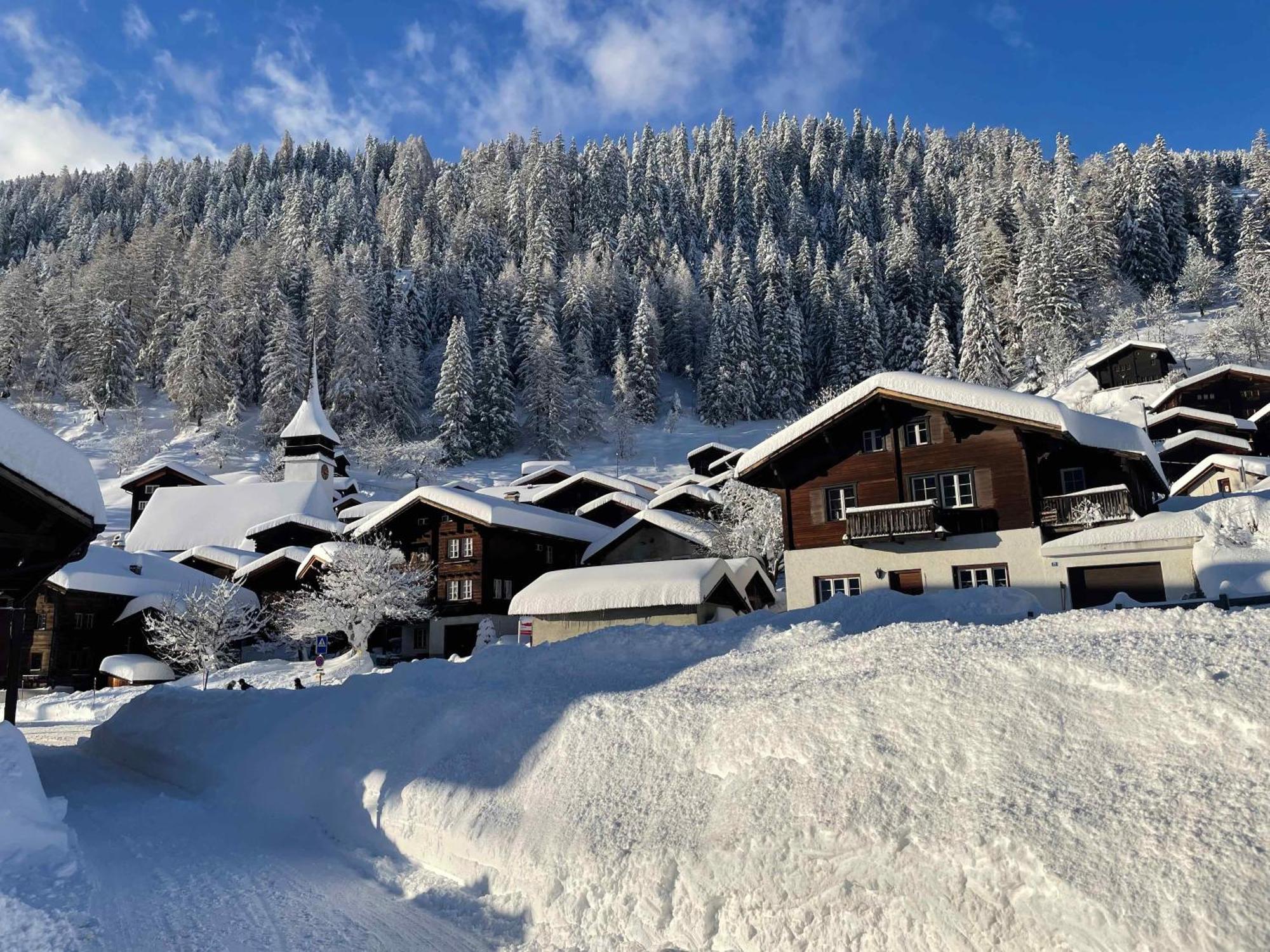 Haus Bortis Daire Goms Dış mekan fotoğraf