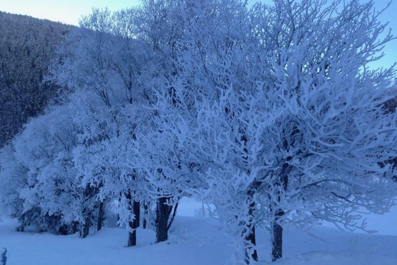 Haus Bortis Daire Goms Dış mekan fotoğraf